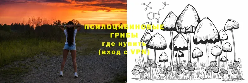 Галлюциногенные грибы Magic Shrooms  Раменское 